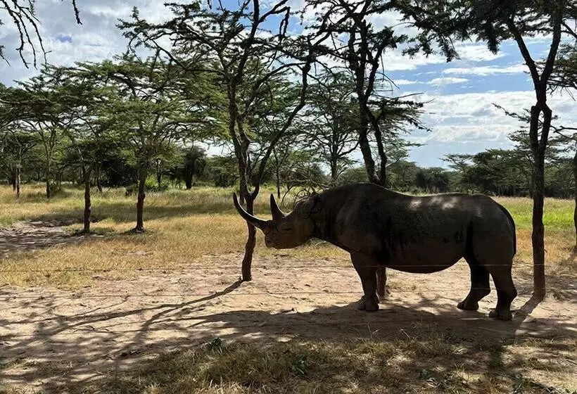 هتل Le Pristine Wellness And Healing