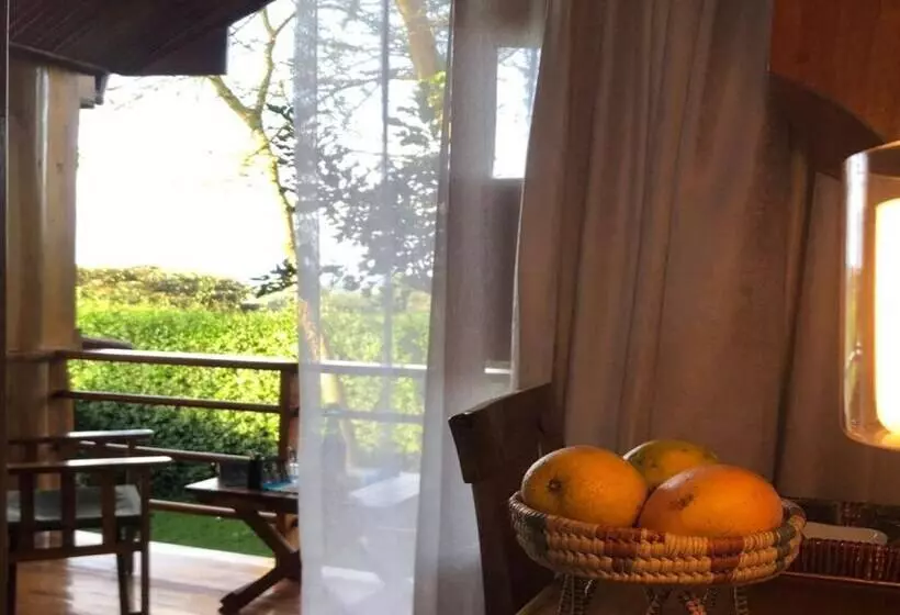 هتل Le Pristine Wellness And Healing