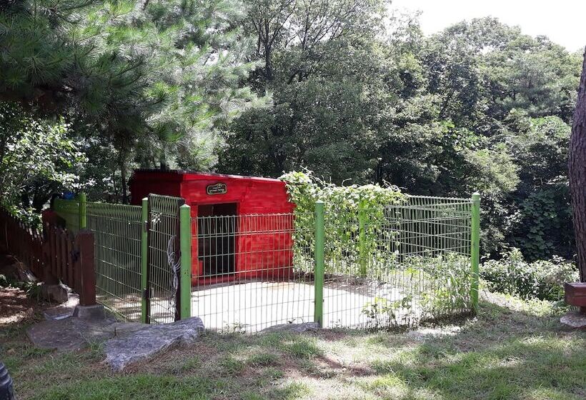 פנסיון The Hue Largo Bundang