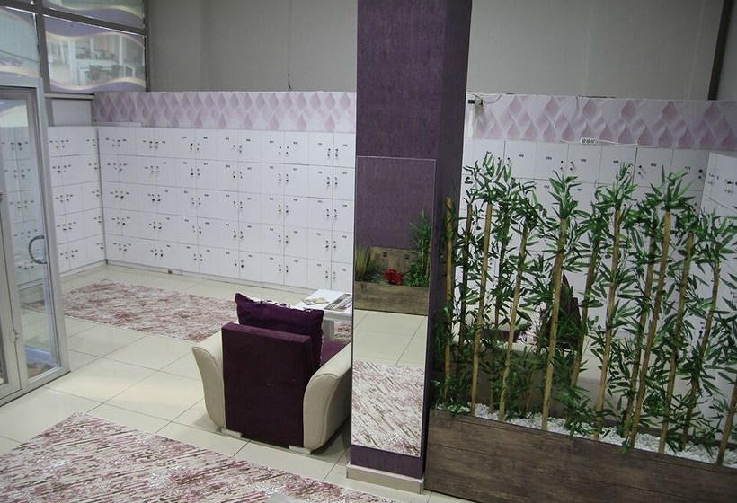 Seckin Apart Caters To Adult Women