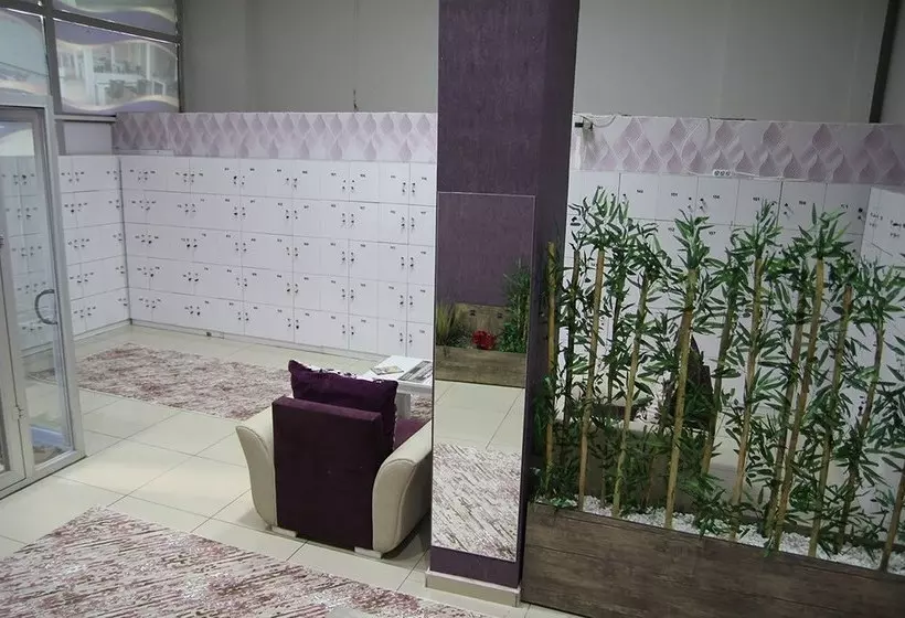 Seckin Apart  Caters To Adult Women