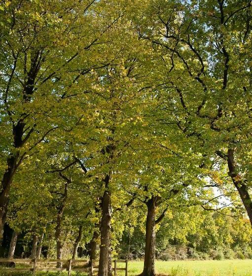 Hotel Restaurant Het Witte Huis