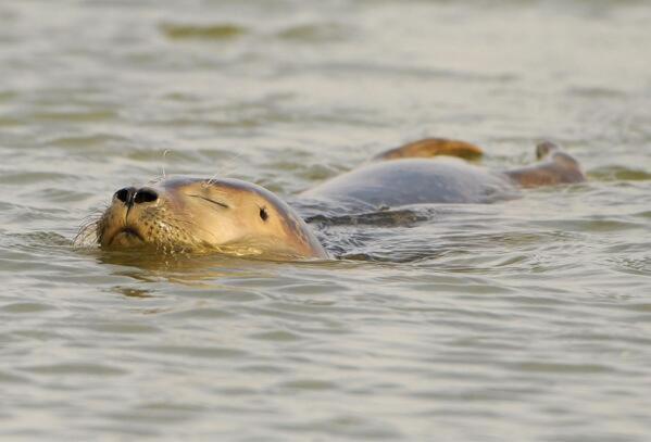 Hotel Restaurant It Posthus