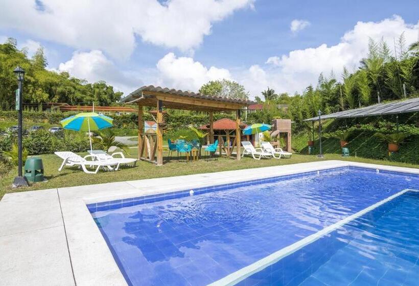 هاستل Socialtel Filandia