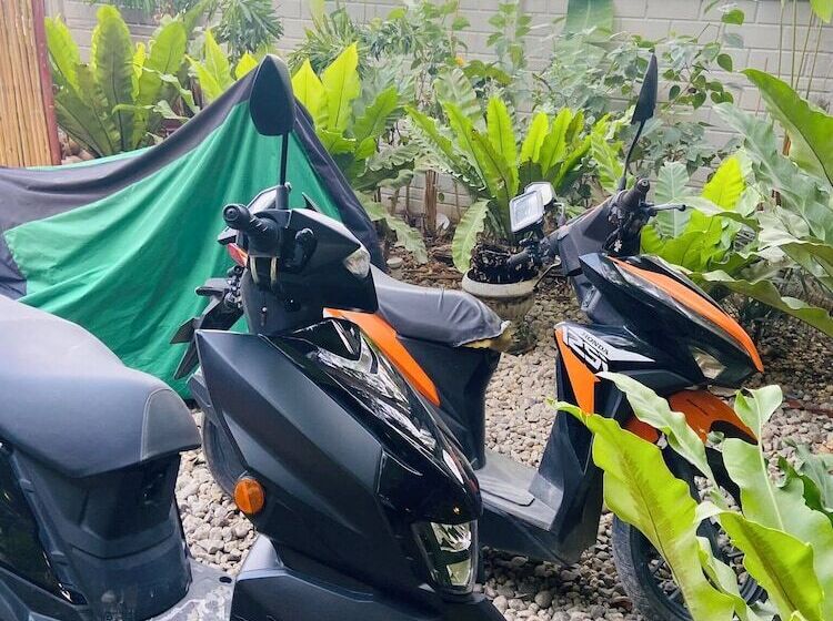 בית מלון כפרי Ecostay Panglao Resort