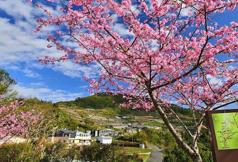 Hotel Holiday Inn Express Chiayi, An Ihg