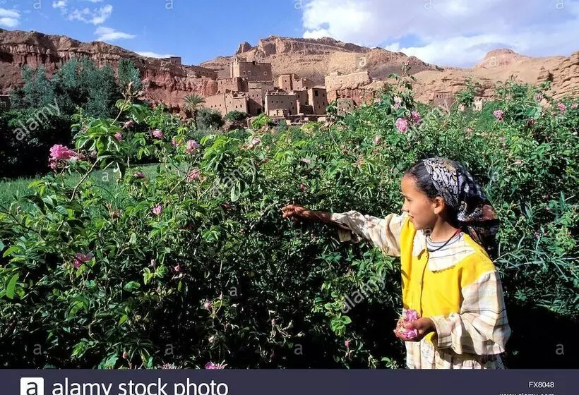Hotelli Riad Atlas Berbere
