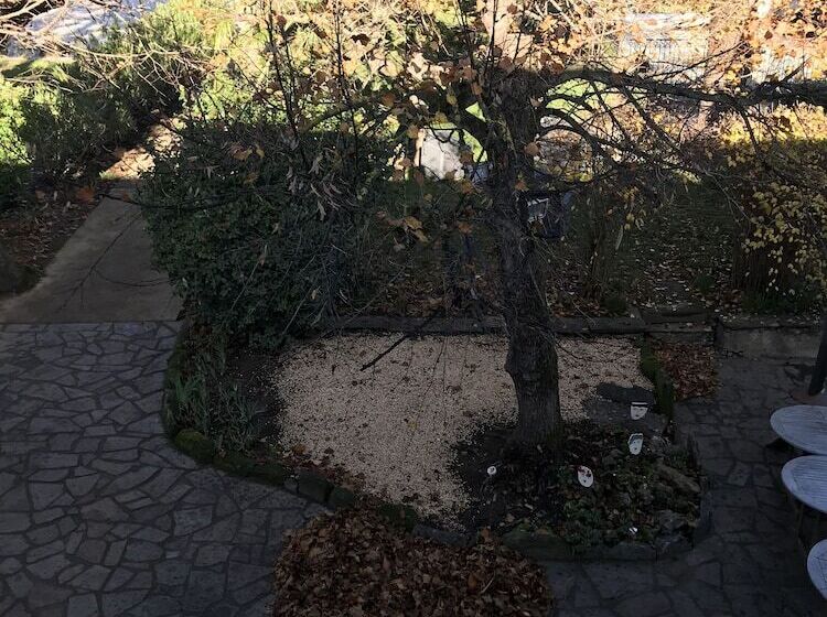 פנסיון Maison Bersane