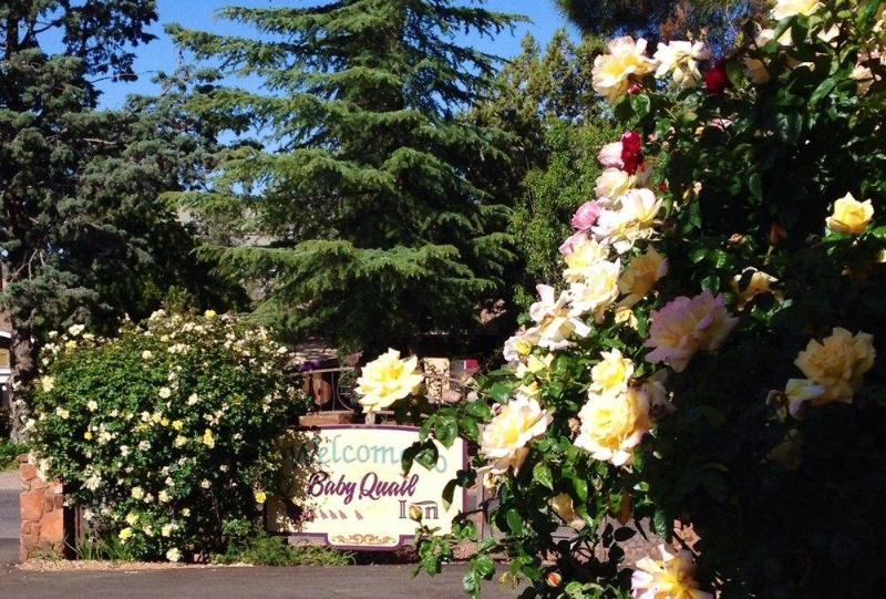 Отель Baby Quail Inn