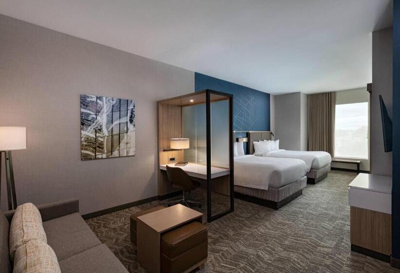 Hotel Springhill Suites Waco