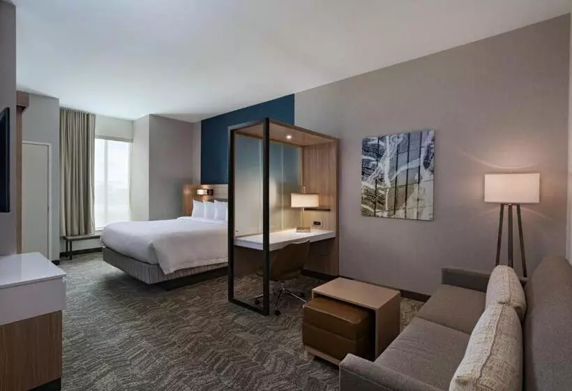 Отель Springhill Suites Waco