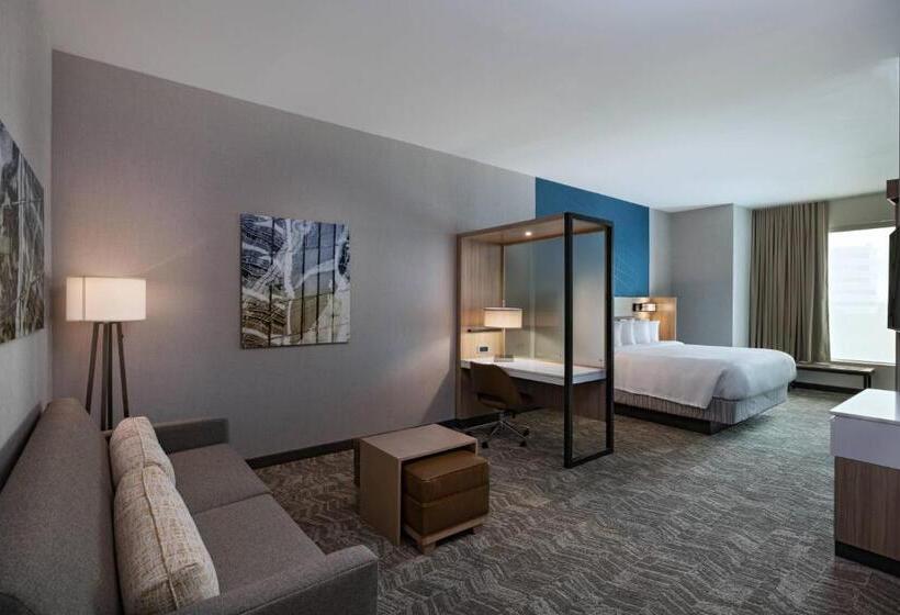 Hotel Springhill Suites Waco