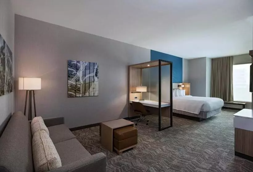 Отель Springhill Suites Waco