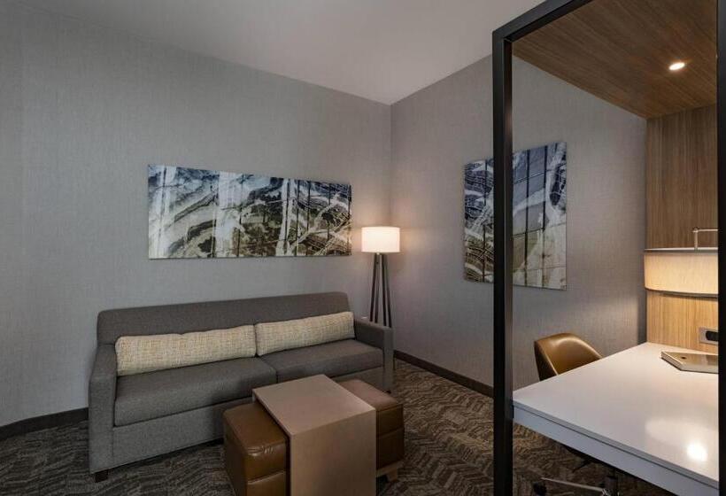 Hotel Springhill Suites Waco