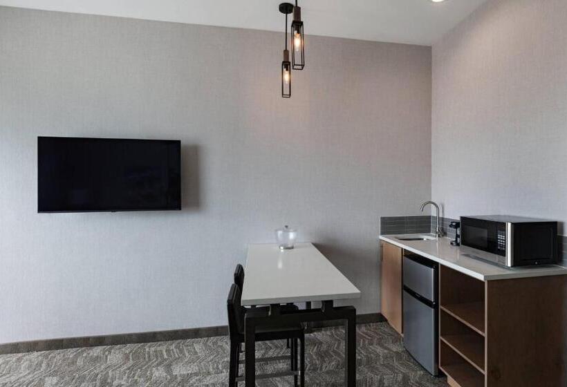 Hotel Springhill Suites Waco