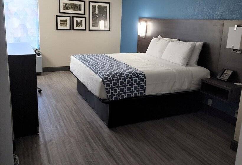 בית מלון כפרי La Quinta By Wyndham Houston Stafford Sugarland