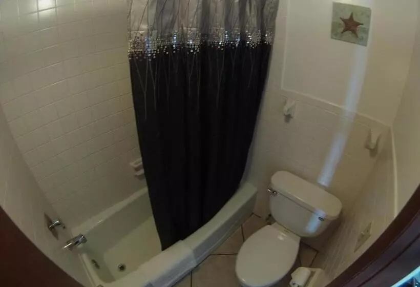 בית מלון כפרי Lago Motor Inn