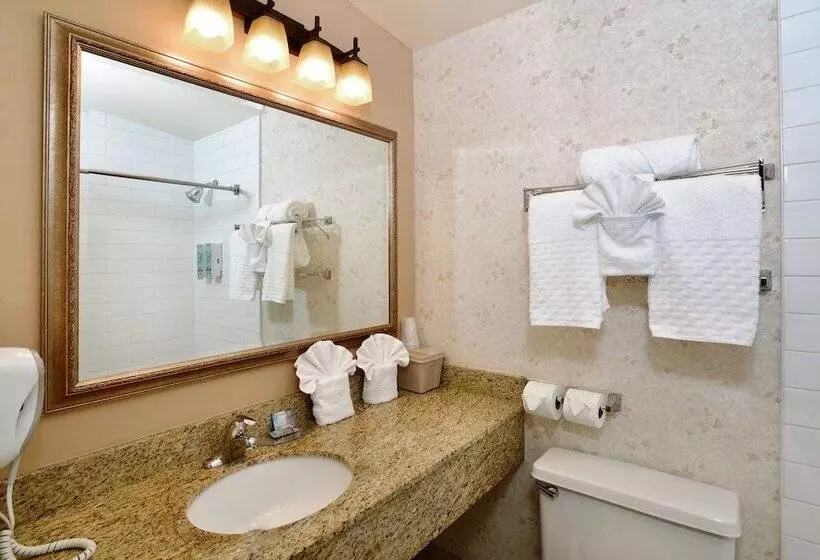 Отель Lamplighter Inn & Suites At Sdsu