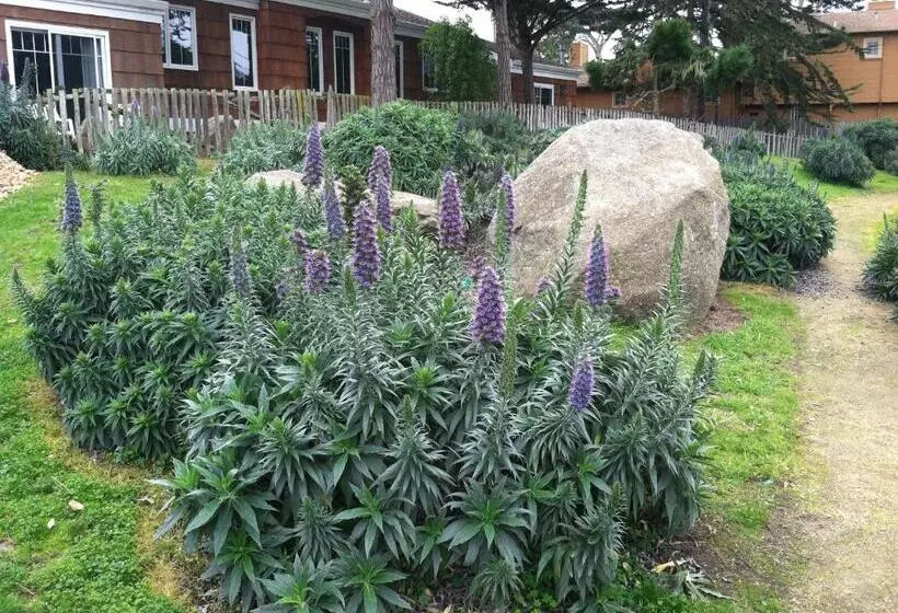 호텔 Lighthouse Lodge & Cottages