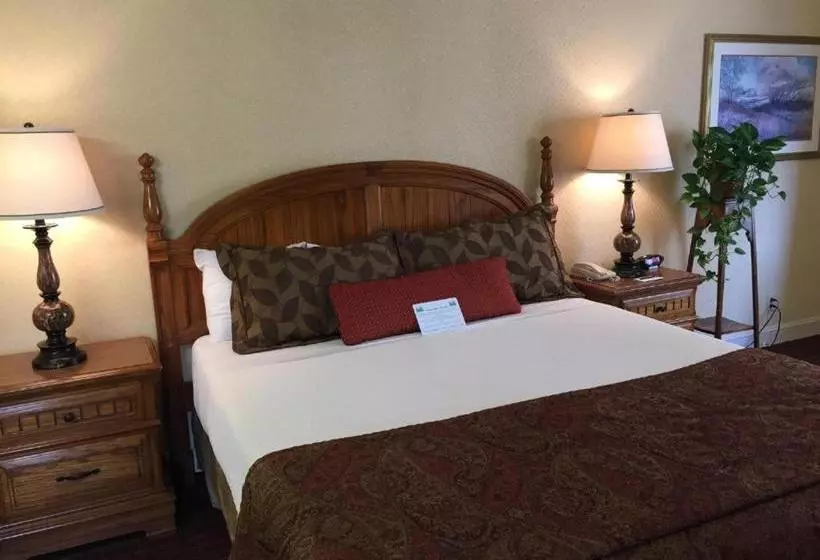 ホテル Lombard Inn