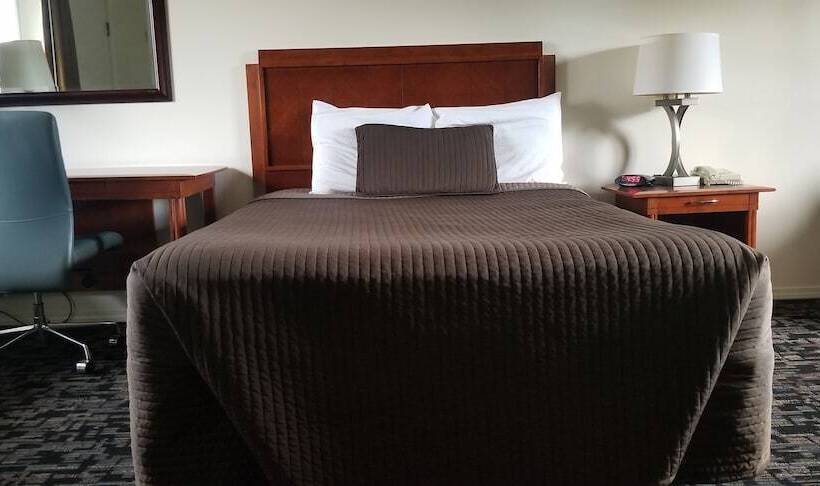 בית מלון כפרי Riverview Lodge