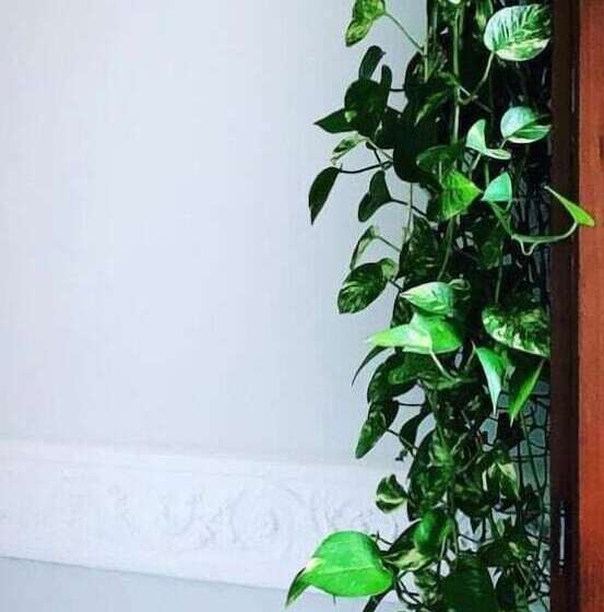 تختخواب و صبحانه Palazzo Samà