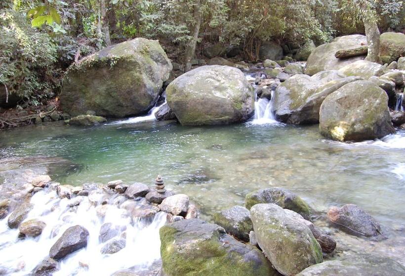 بنسيون Toca Da Anita Maresias