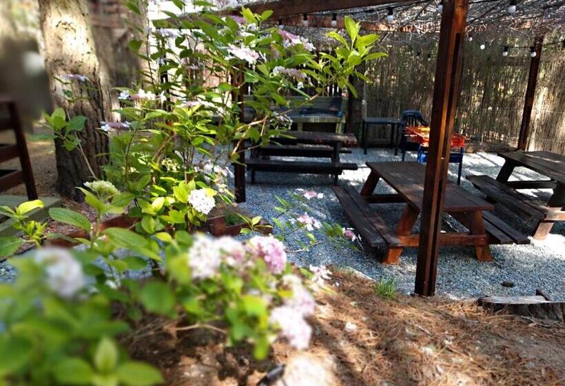 Sueño Pampa Apart Y Cabañas