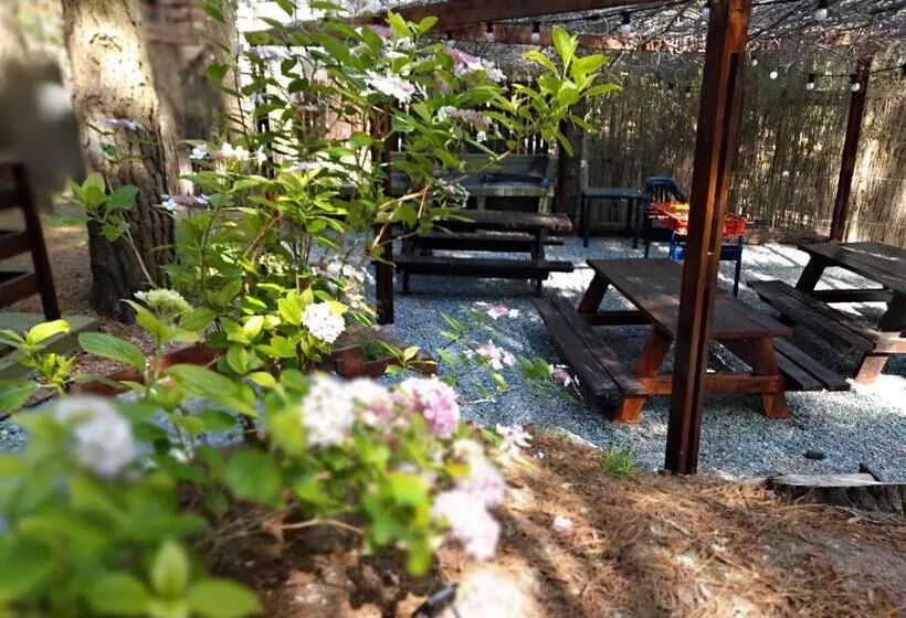 Sueño Pampa Apart Y Cabañas