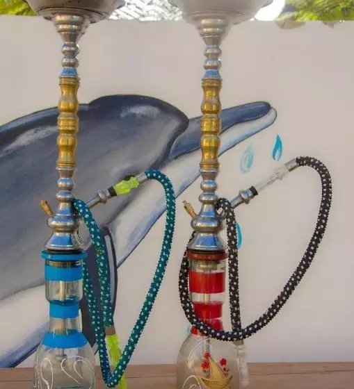 Hotelli Zanpalm Boutique