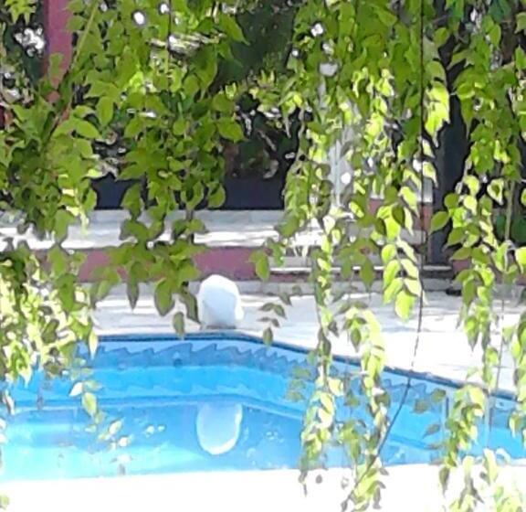 פנסיון Pousada Atelier Aly Da Costa