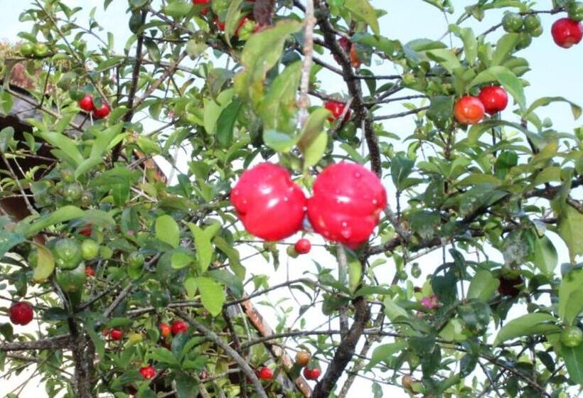 פנסיון Pousada Atelier Aly Da Costa