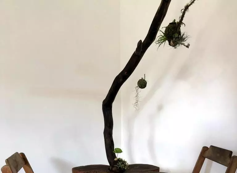 Majatalo Pousada Atelier Aly Da Costa