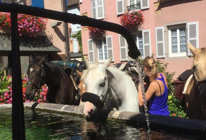 호텔 Auberge Du Rempart