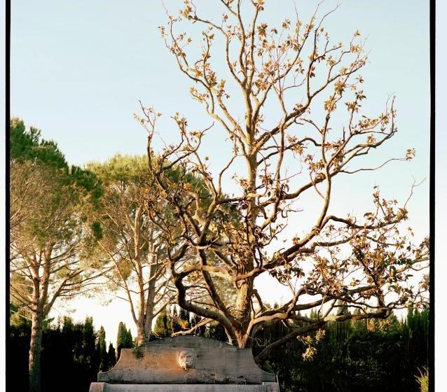 Отель Le Mas De Chabran