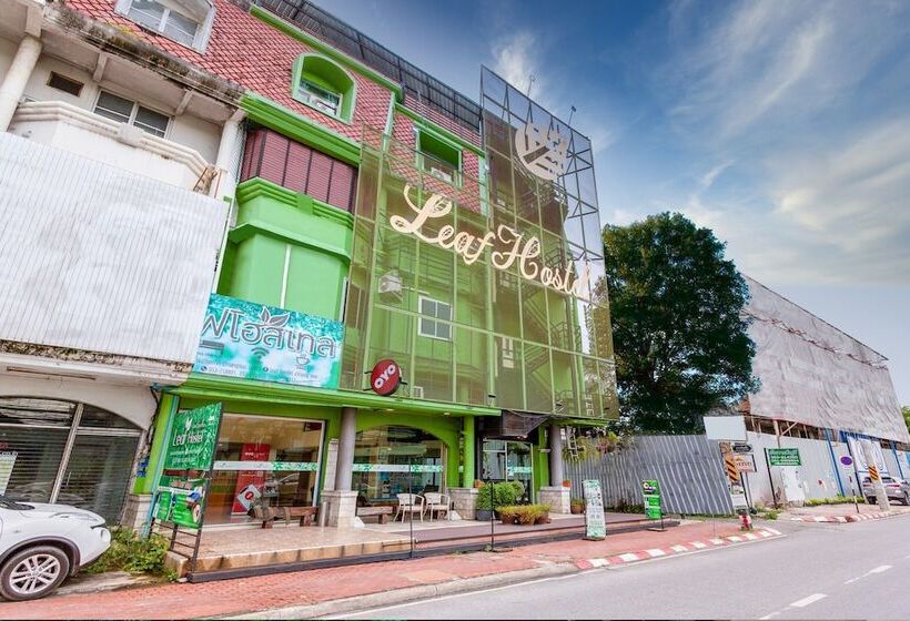 Leaf Hostel Chiang Mai