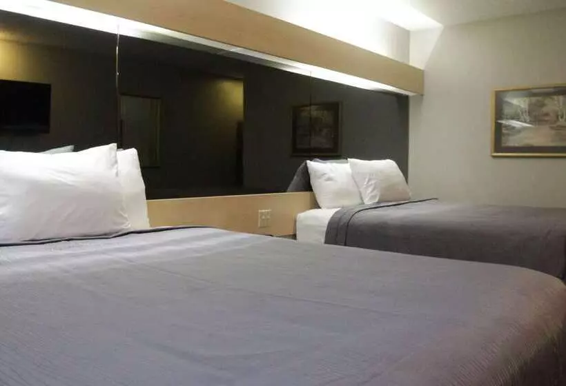 هتل America S Best Value Inn And Suites   Jackson