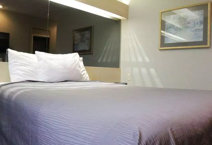 هتل America S Best Value Inn And Suites   Jackson