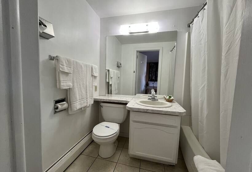 Отель Mansfield Inn