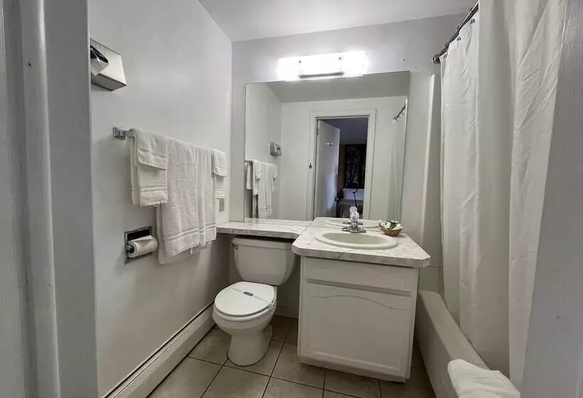 호텔 Mansfield Inn