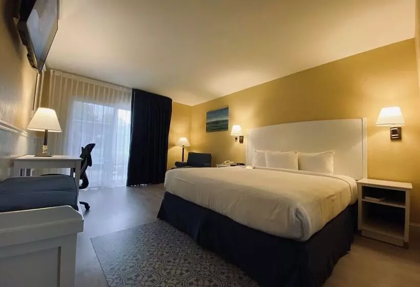 ホテル Monterey Bay Lodge