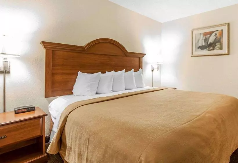 ホテル Quality Inn & Suites At Dollywood Lane