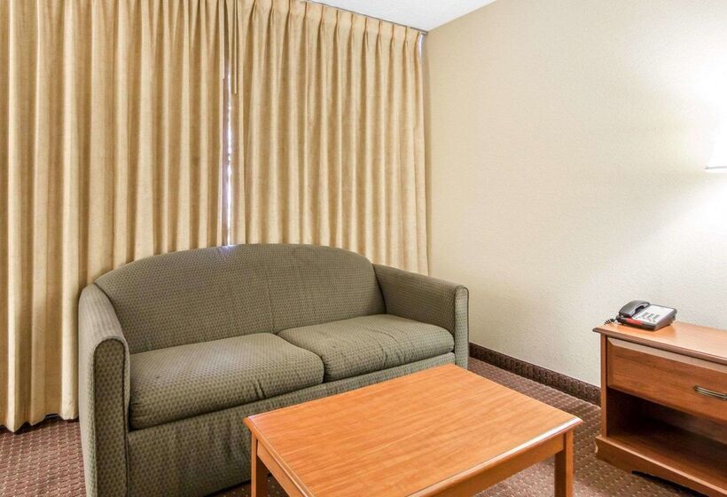 هتل Quality Inn & Suites At Dollywood Lane