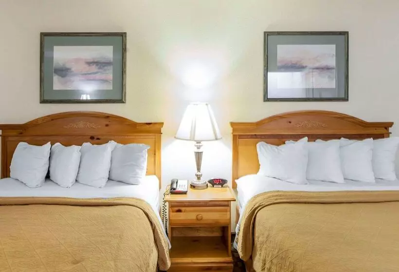ホテル Quality Inn & Suites At Dollywood Lane