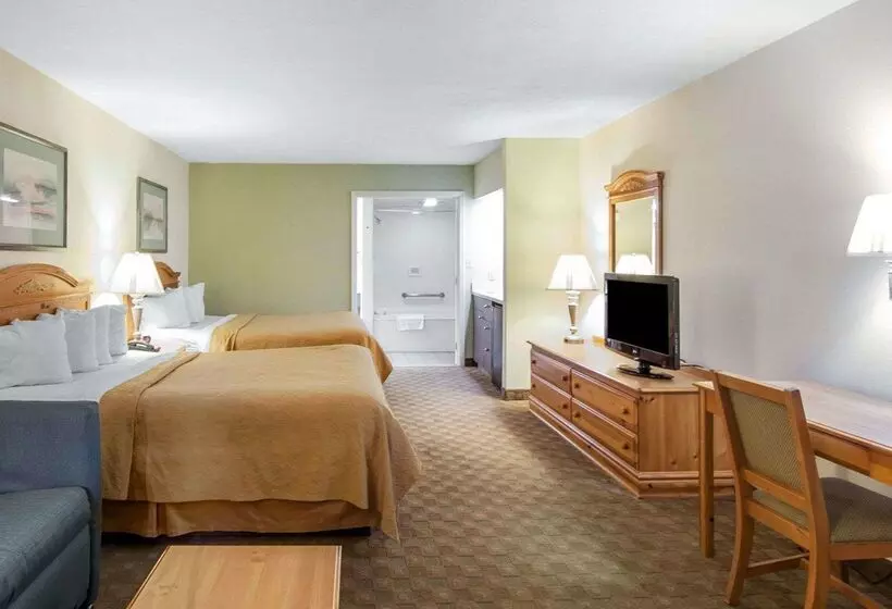ホテル Quality Inn & Suites At Dollywood Lane