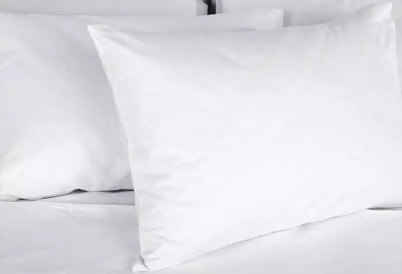 Mayflower Motel Milford