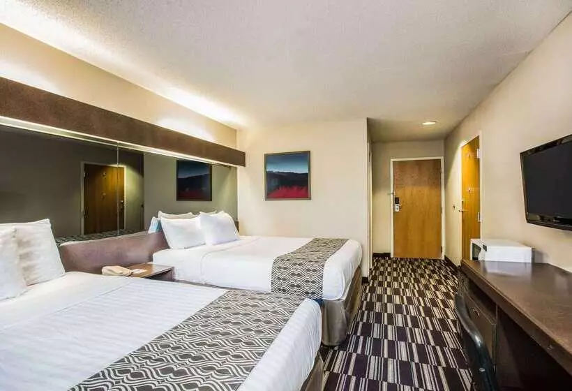 Microtel Inn & Suites By Wyndham Chattanooga/near Hamilton P