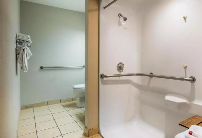 Microtel Inn & Suites By Wyndham Chattanooga/near Hamilton P