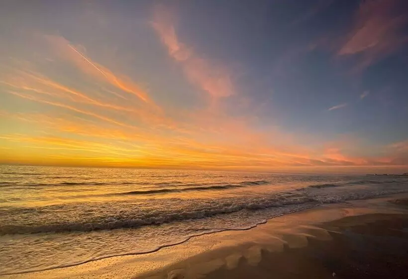 Мотель The Molloy Treasure Island Suites & Cottages