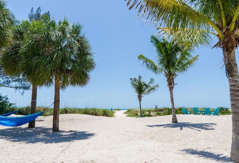 汽车旅馆  The Molloy   Treasure Island Suites & Cottages